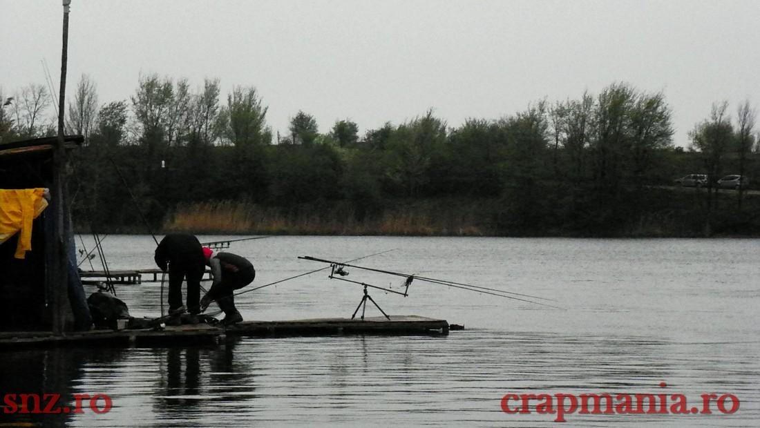 GREENFISH 2 - 1000350.jpg